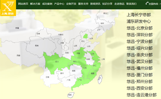 网络营销的分公司战略