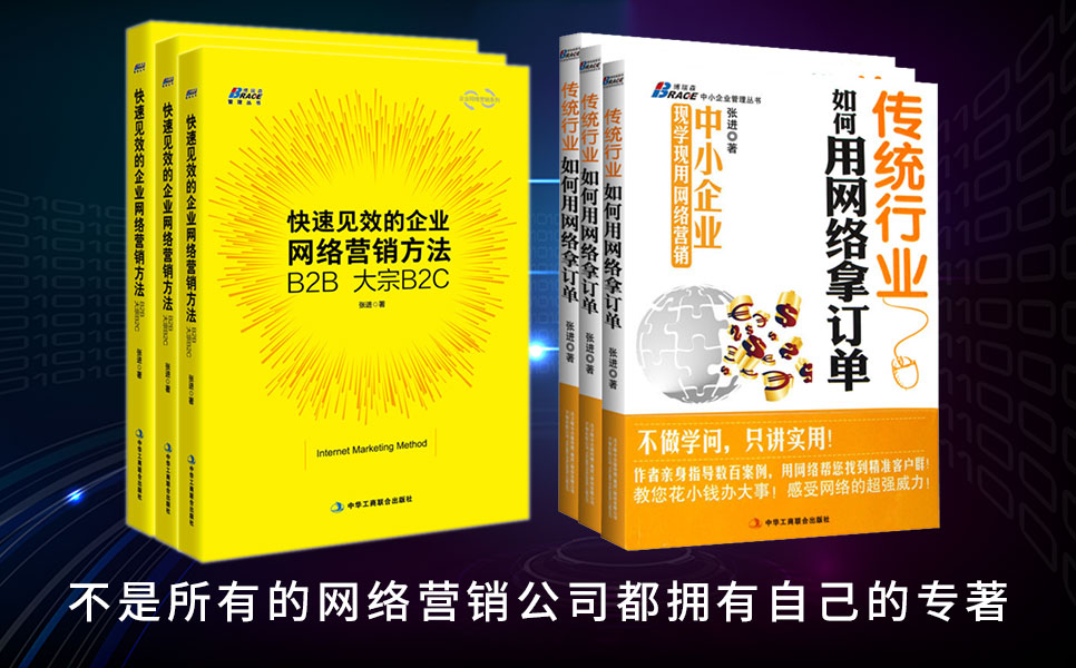 网络营销书